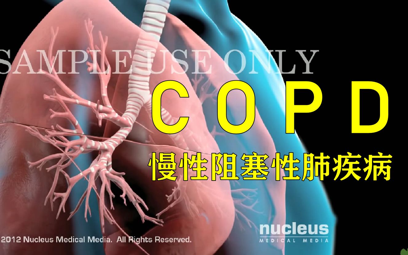 [图]【3D医学动画】慢性阻塞性肺疾病（COPD）