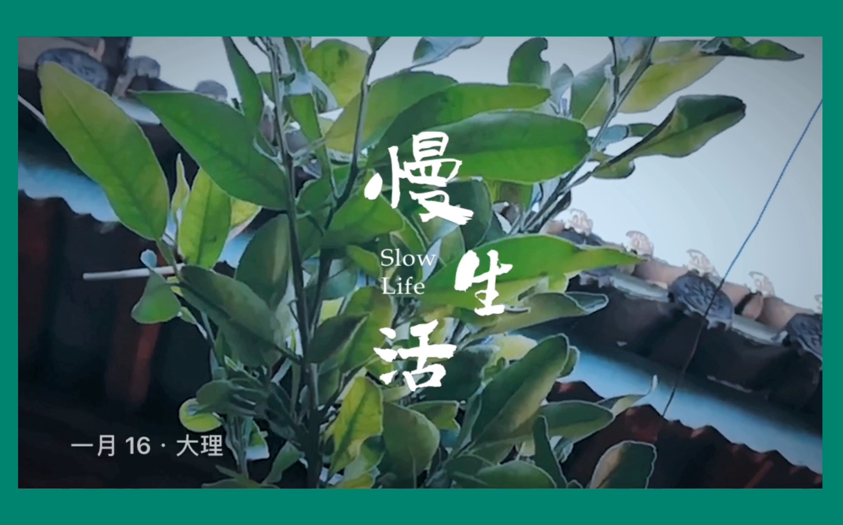 「吴小花 vlog 09」慢生活 / 一杯茶中消磨整个黄昏