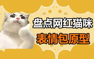 Download Video: 宠物冷知识：盘点一下常用猫咪表情包的原型，你有没有中招