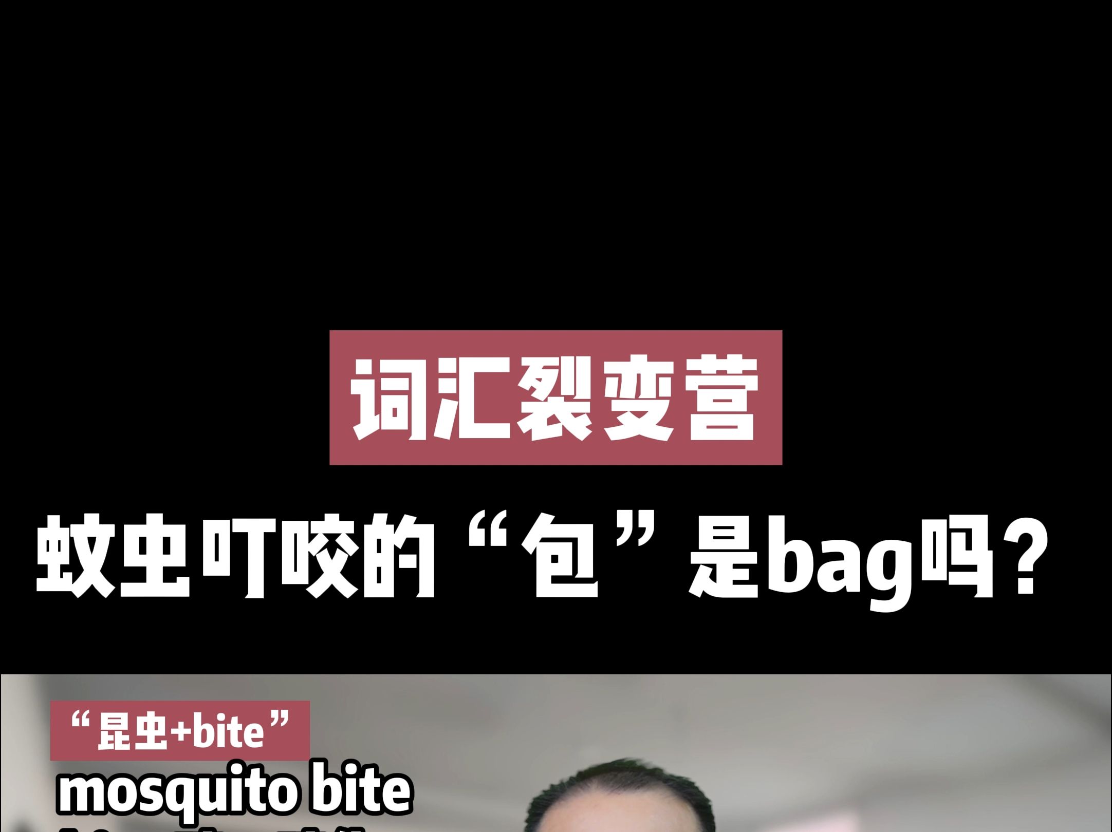 蚊虫叮咬的“包”是bag吗?哔哩哔哩bilibili