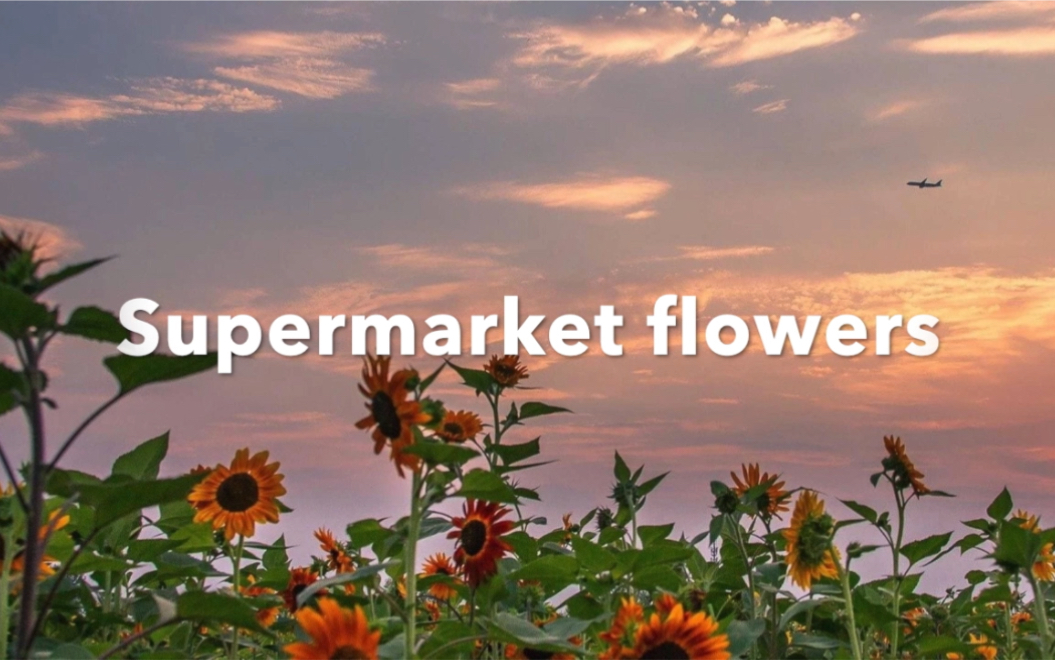 [图]【蒋舒婷】Supermarket flowers翻唱