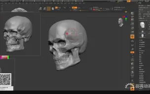 Download Video: zbrush基础_头骨基础讲解（零基础也能跟着做）