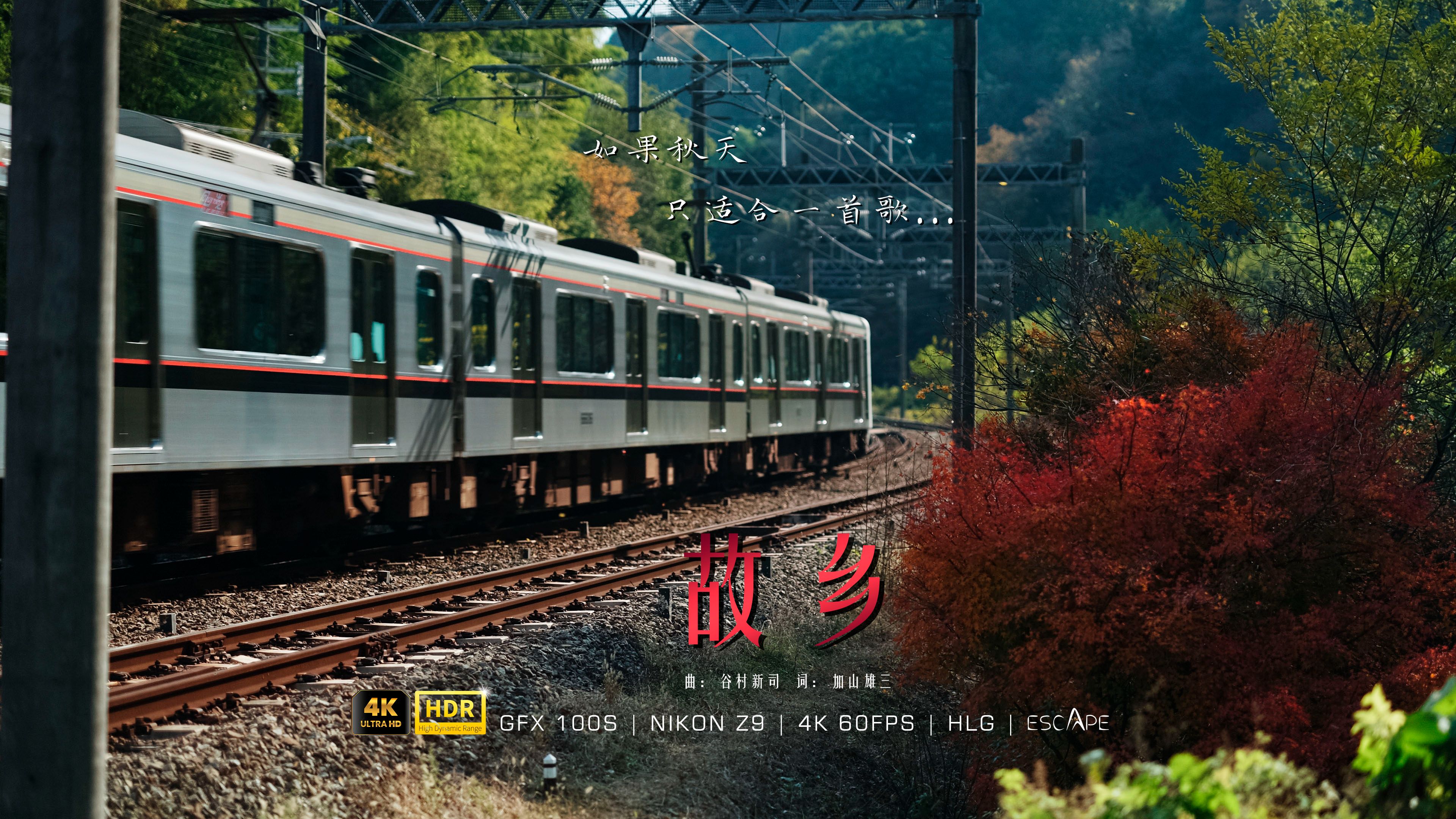 谷村新司经典名曲《故乡》,愿每个身在异乡的人都找到归属-真樱木