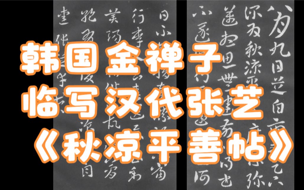 韩国金禅子,破解魏晋笔法,临摹张芝章草书《秋凉平善帖》#韩国移民##韩国李子移民##华侨生联考##李子移民##哔哩哔哩bilibili