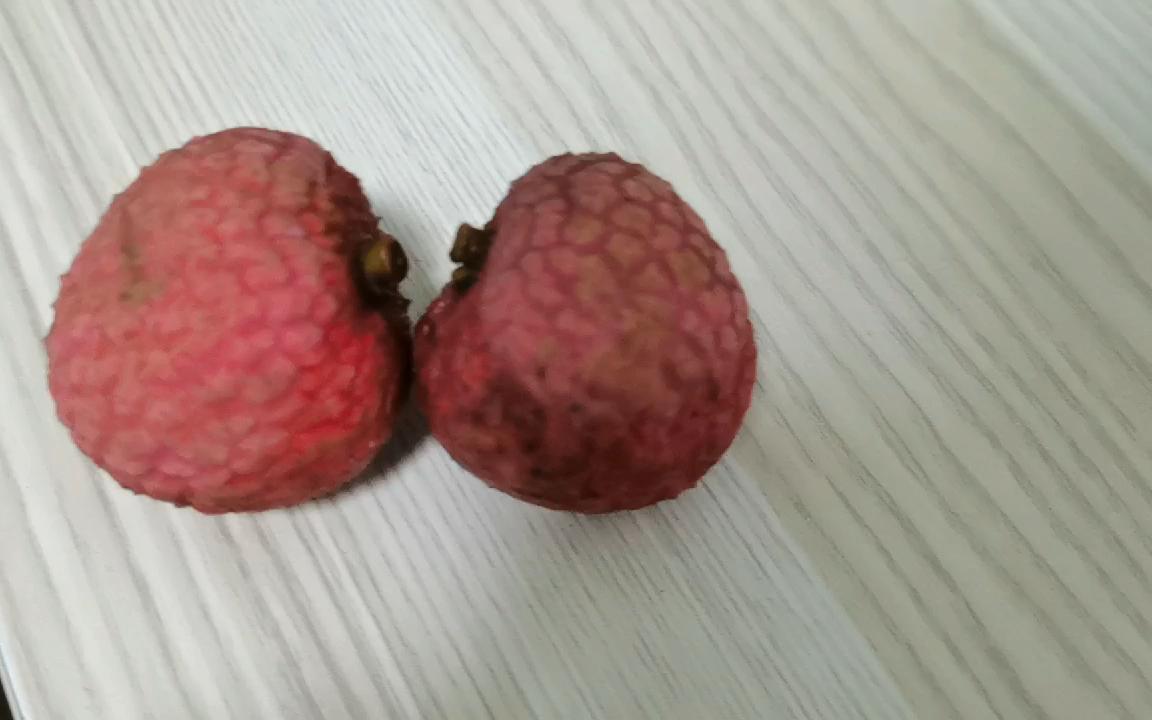 活动作品面对面的两颗红荔枝和两个核