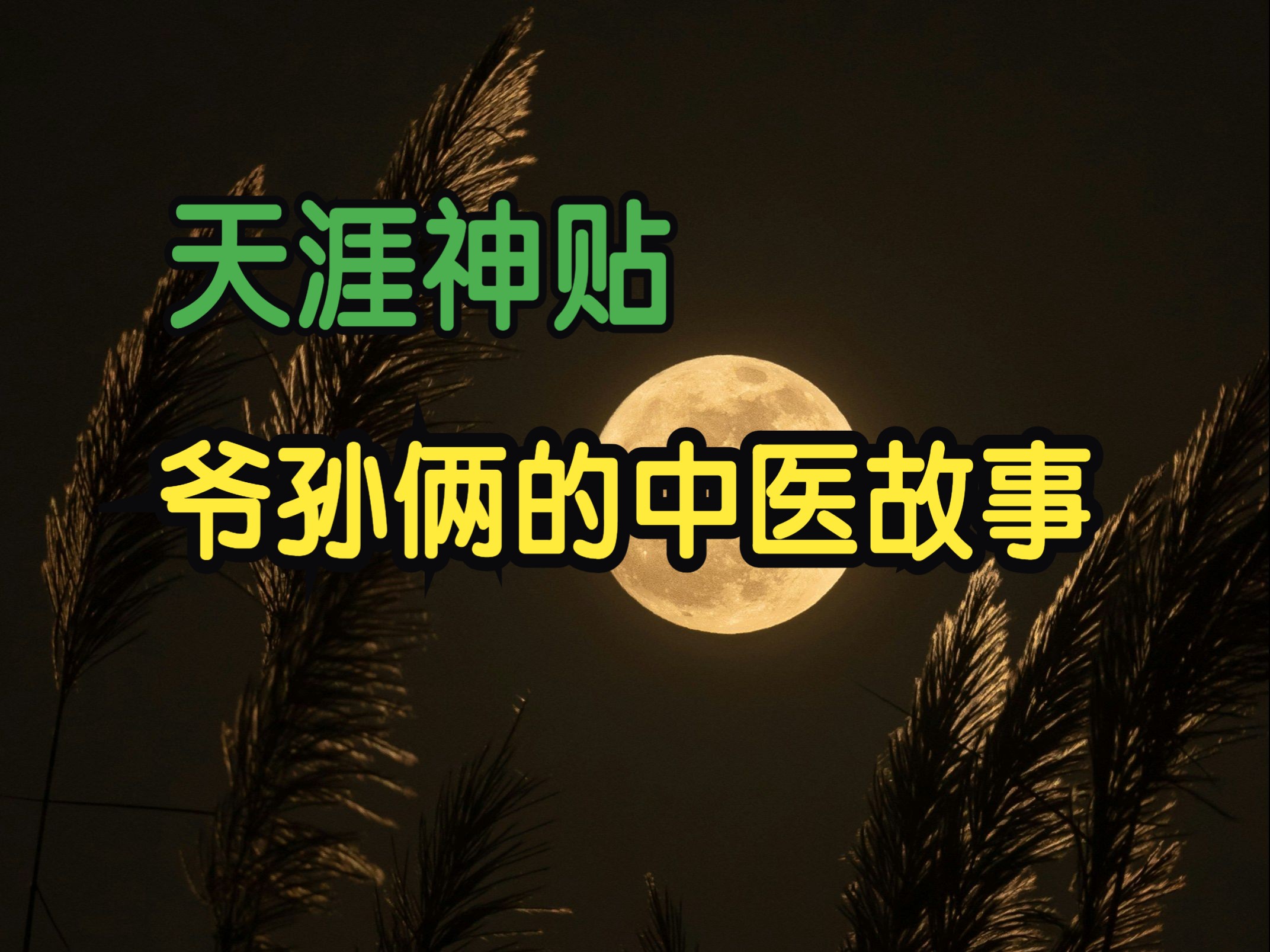 莲蓬鬼话:天涯神贴丨爷孙俩的中医故事——每个人都可以读懂的中医 麻黄篇 01哔哩哔哩bilibili