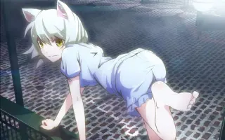 化物语羽川翼op 搜索结果 哔哩哔哩弹幕视频网 つロ乾杯 Bilibili