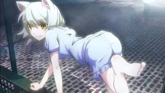 羽川翼 Sugar Sweet Nightmare Art 堀江由衣 哔哩哔哩 Bilibili