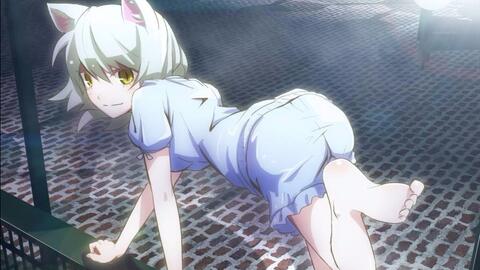 化物语mad 真 羽川翼op 哔哩哔哩 Bilibili