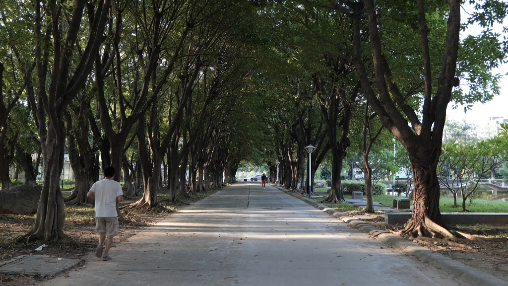 江湾校区图片