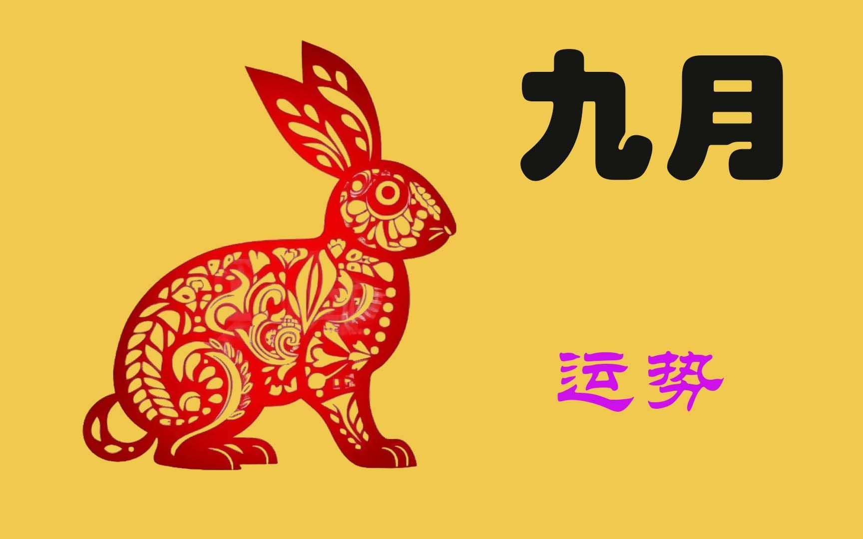 生肖兔2024年全年运势(属兔人2024年运势及财运)