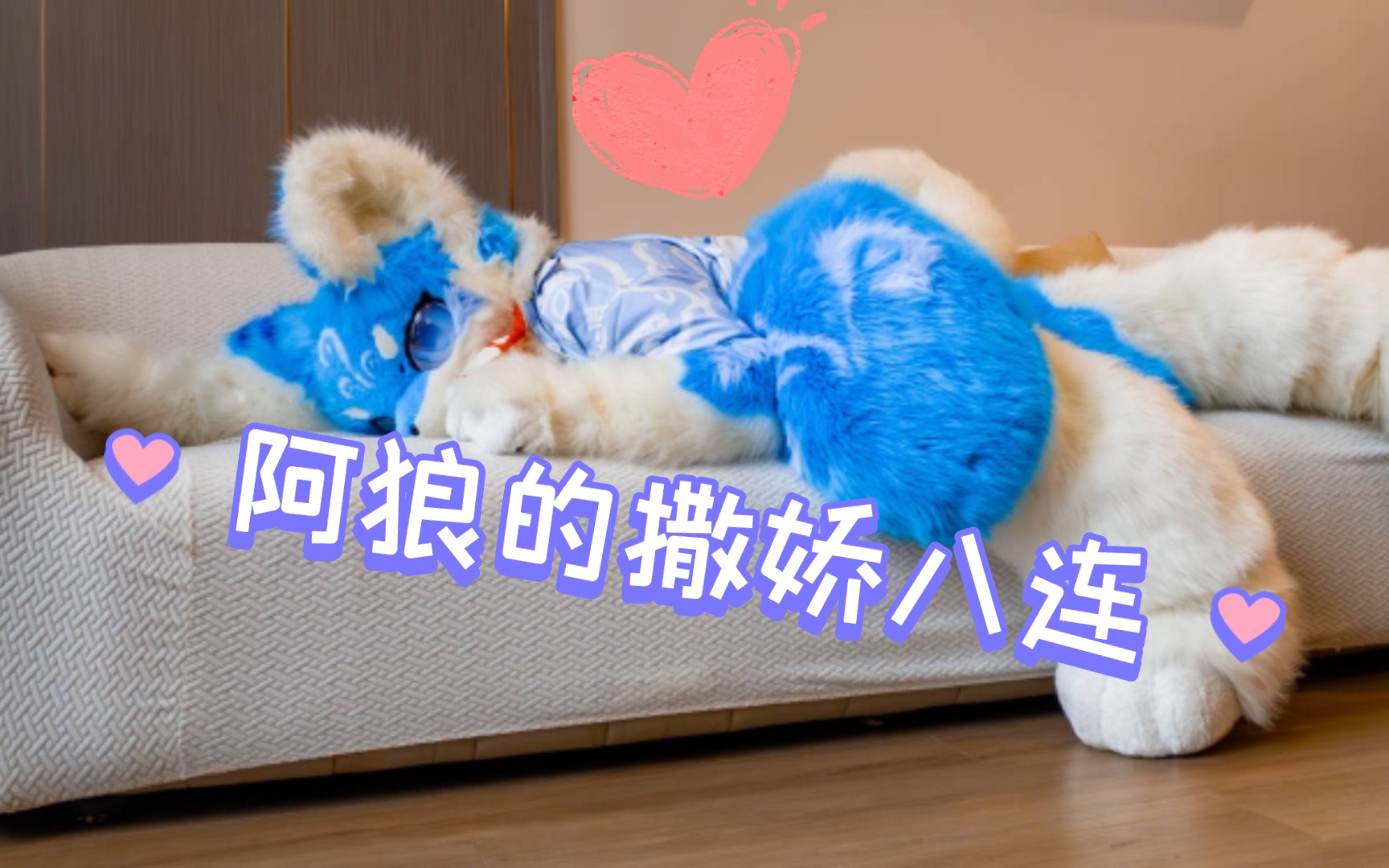 撒 娇 八 连!哔哩哔哩bilibili