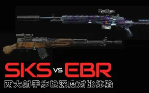 使命召唤-现代战争：SKS vs EBR14 ，两大射手步枪深度数据、体验对比，究竟如何选择？