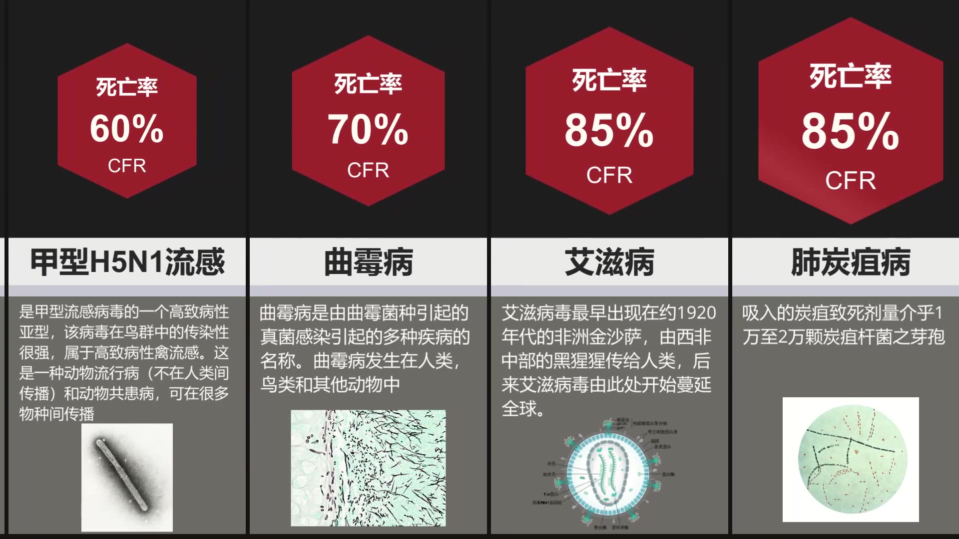 比较:各种传染病的死亡率哔哩哔哩bilibili