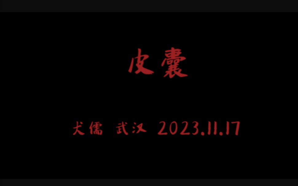 [自存] 犬儒 武汉 2023.11.17 〖皮囊〗哔哩哔哩bilibili