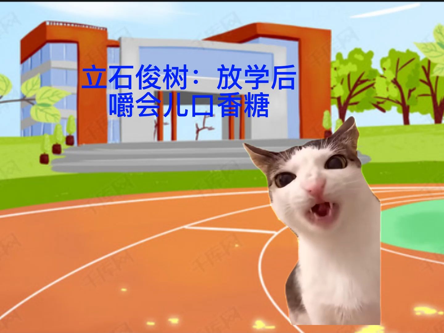 2.5次元猫meme系列2哔哩哔哩bilibili