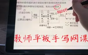 下载视频: 教师平板网课，实现手写自由，word、ppt等皆可