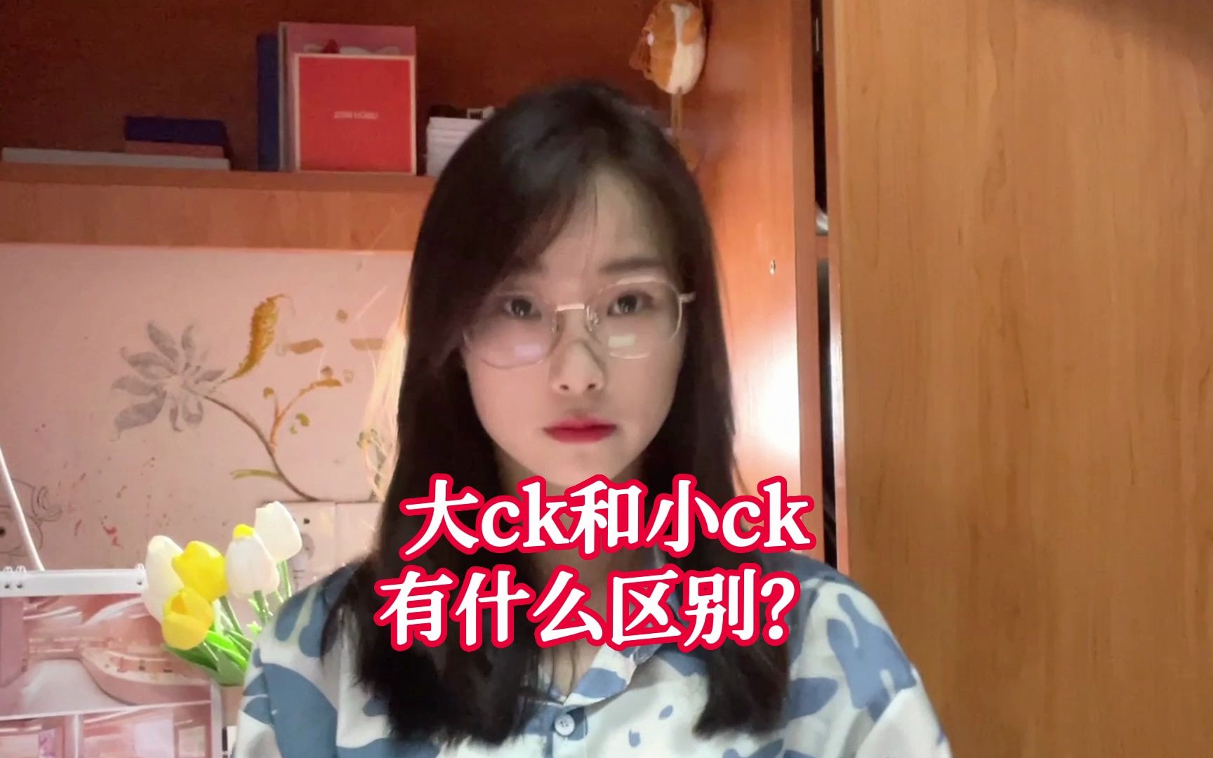 大ck和小ck有什么区别?哔哩哔哩bilibili