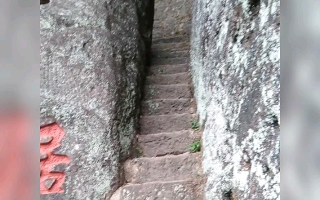 攀登武夷山大王峰,山路高耸,勇者爬山哔哩哔哩bilibili