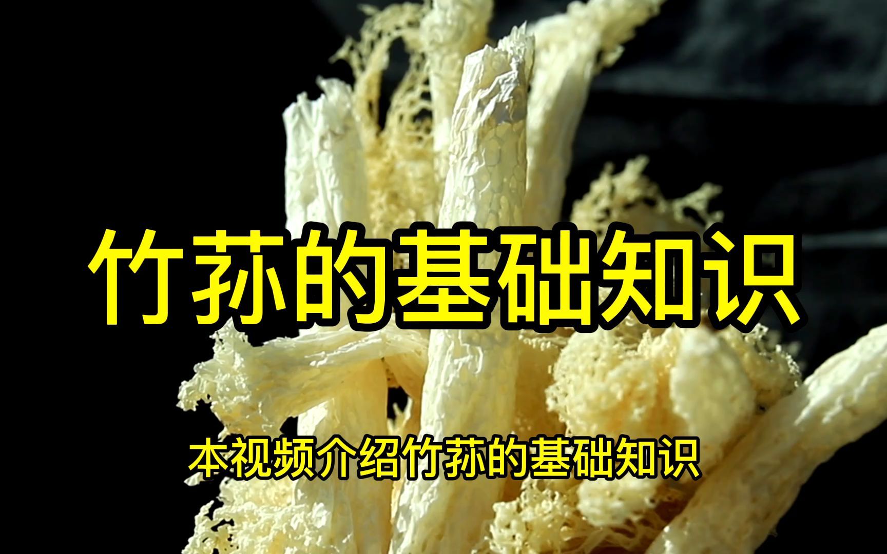 意康德分享:竹荪的基础知识!哔哩哔哩bilibili