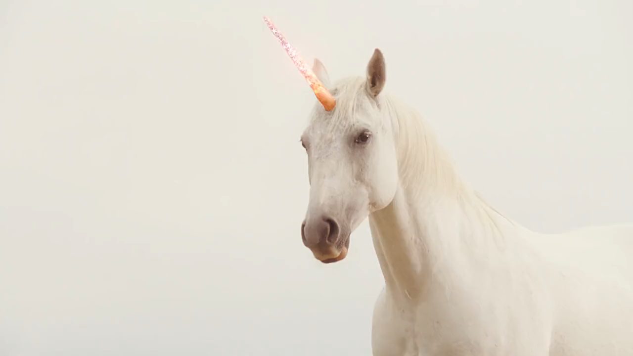 美丽的外表下,是你看不透的心明日传奇独角兽变身_哔哩哔哩 (゜-゜)つ