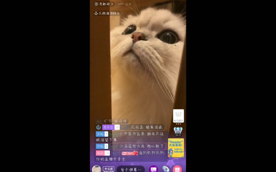 花少北花生米米子哥咱不哭