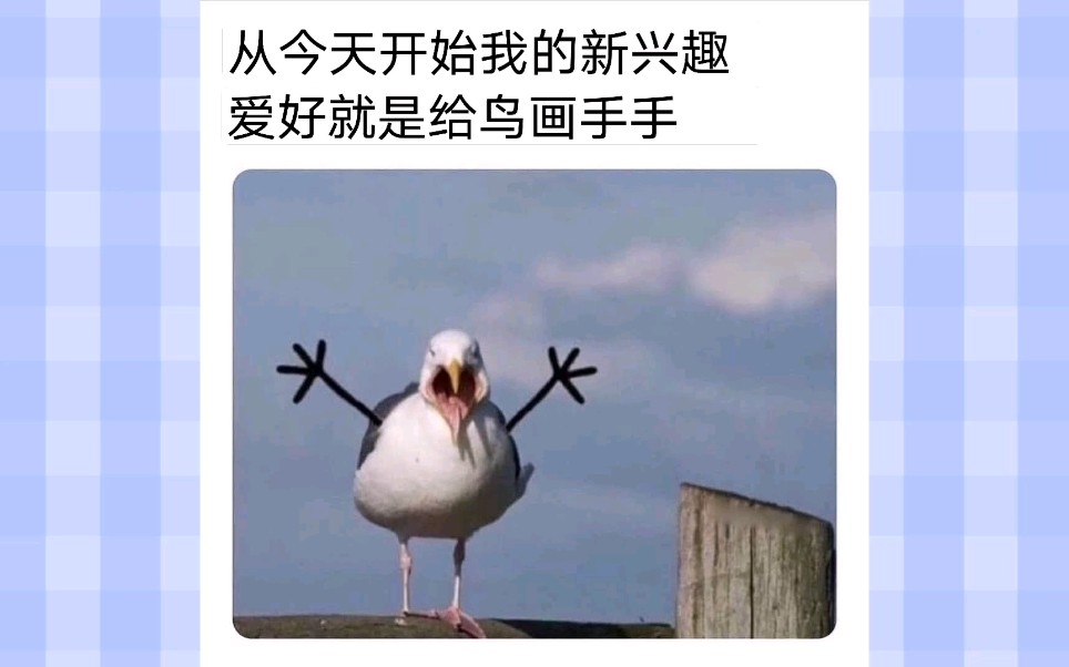 【沙雕梗图合集02】从今天开始我的新兴趣爱好就是给鸟画手手