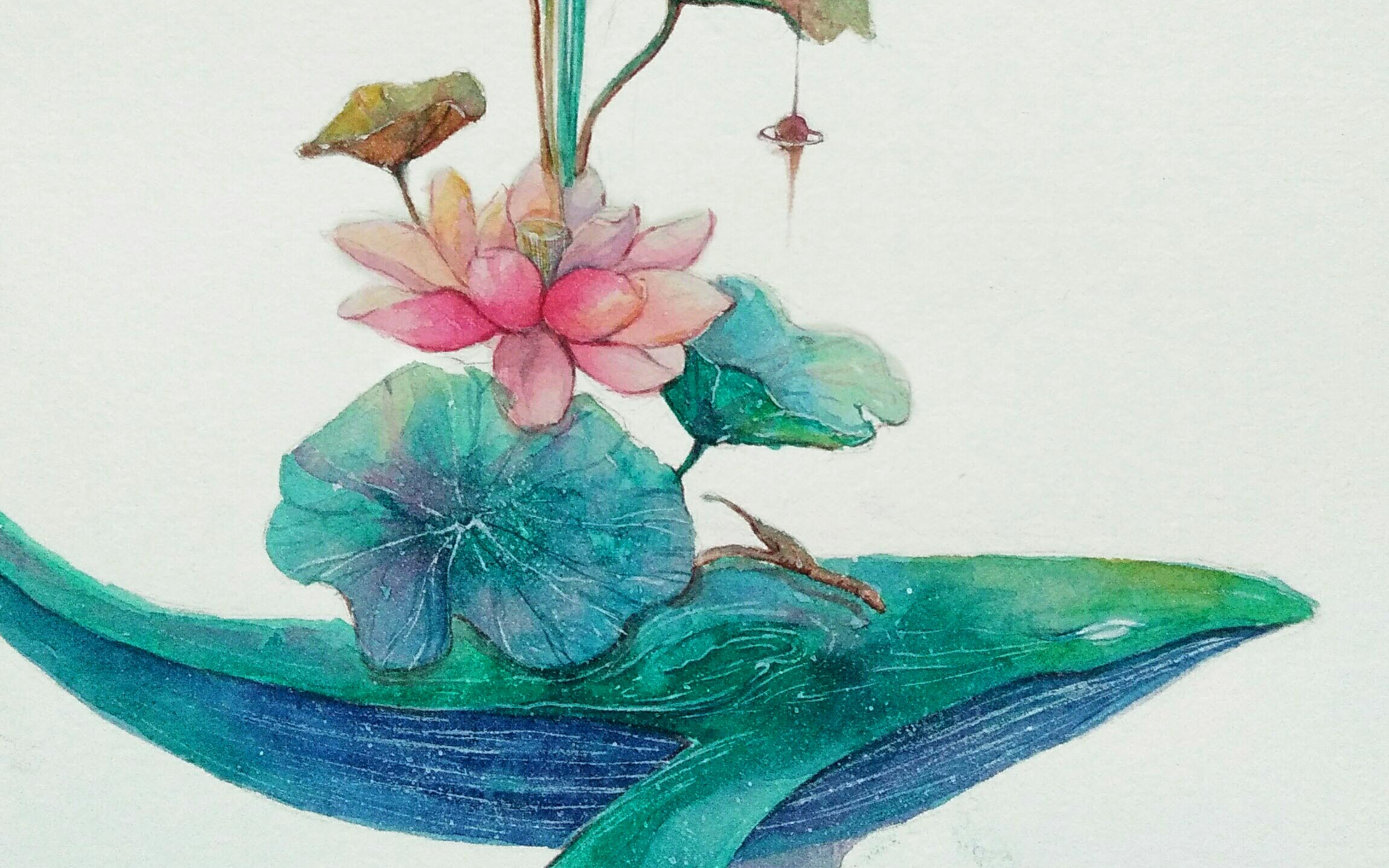 【水彩教程】蓝鲸之梦