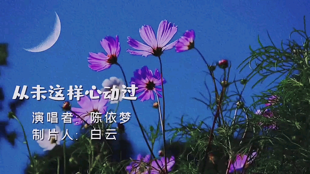 从来没有这样心动过是什么歌曲(从来没有这样心动过是什么歌曲意思)