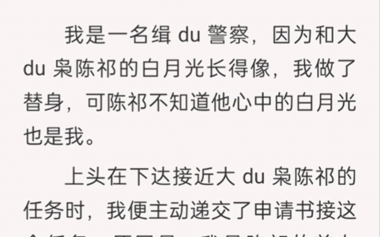 我是一名缉du警察,因为和大du枭陈祁的白月光长得像,我做了替身,可陈祁不知道他心中的白月光也是我……哔哩哔哩bilibili