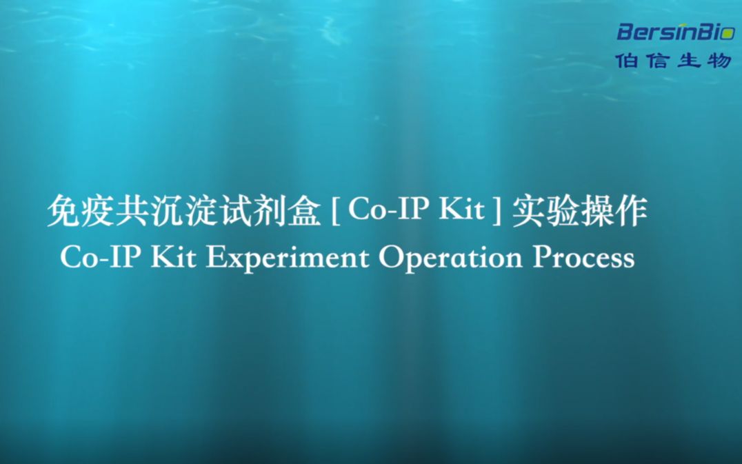 免疫共沉淀试剂盒 [CoIP Kit] 实验操作哔哩哔哩bilibili