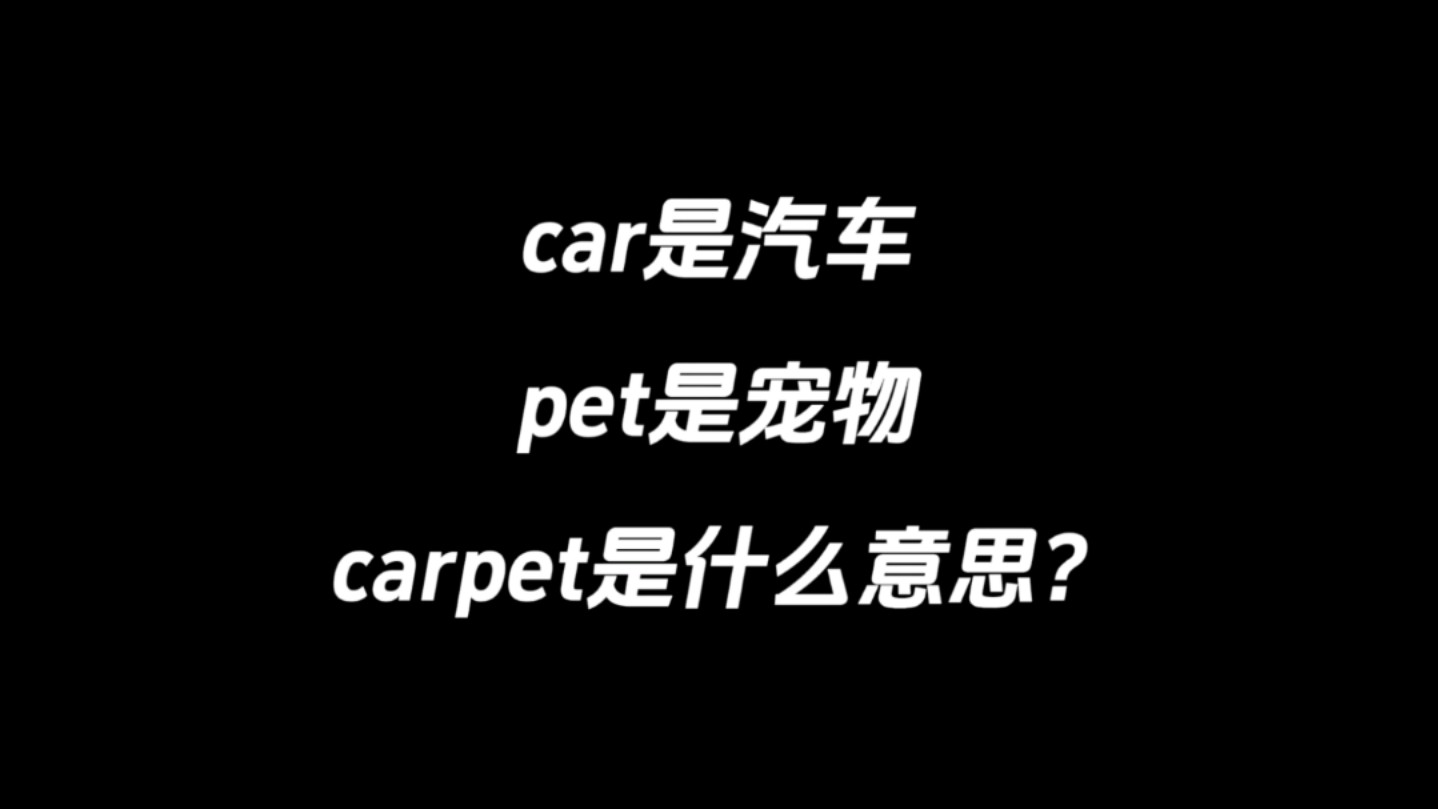 car是汽车,pet是宠物,carpet是什么意思?哔哩哔哩bilibili