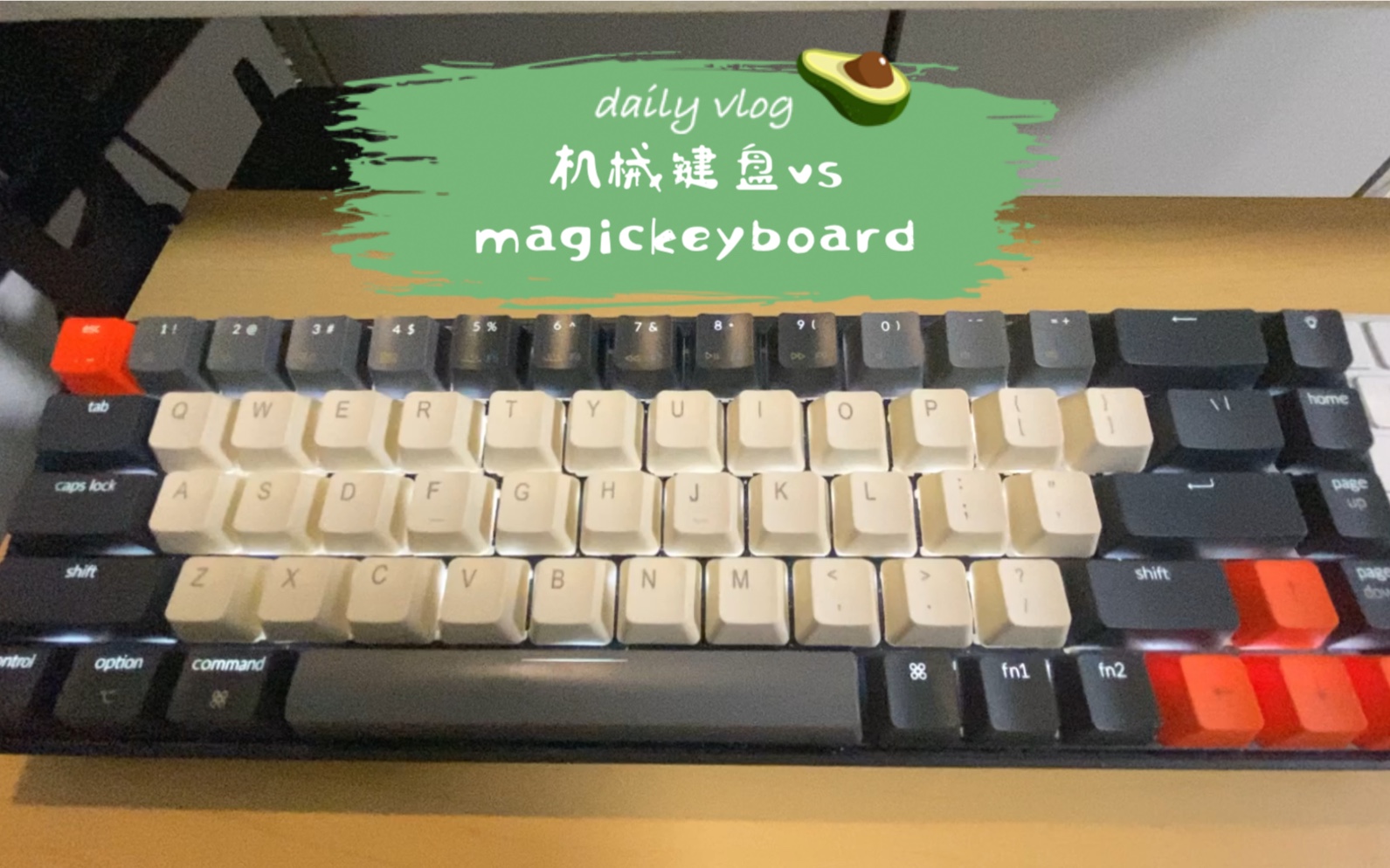 [图]【打工人好物推荐&横评】机械键盘（京东京造k6 &洛斐熊本熊）vs magic keyboard 2