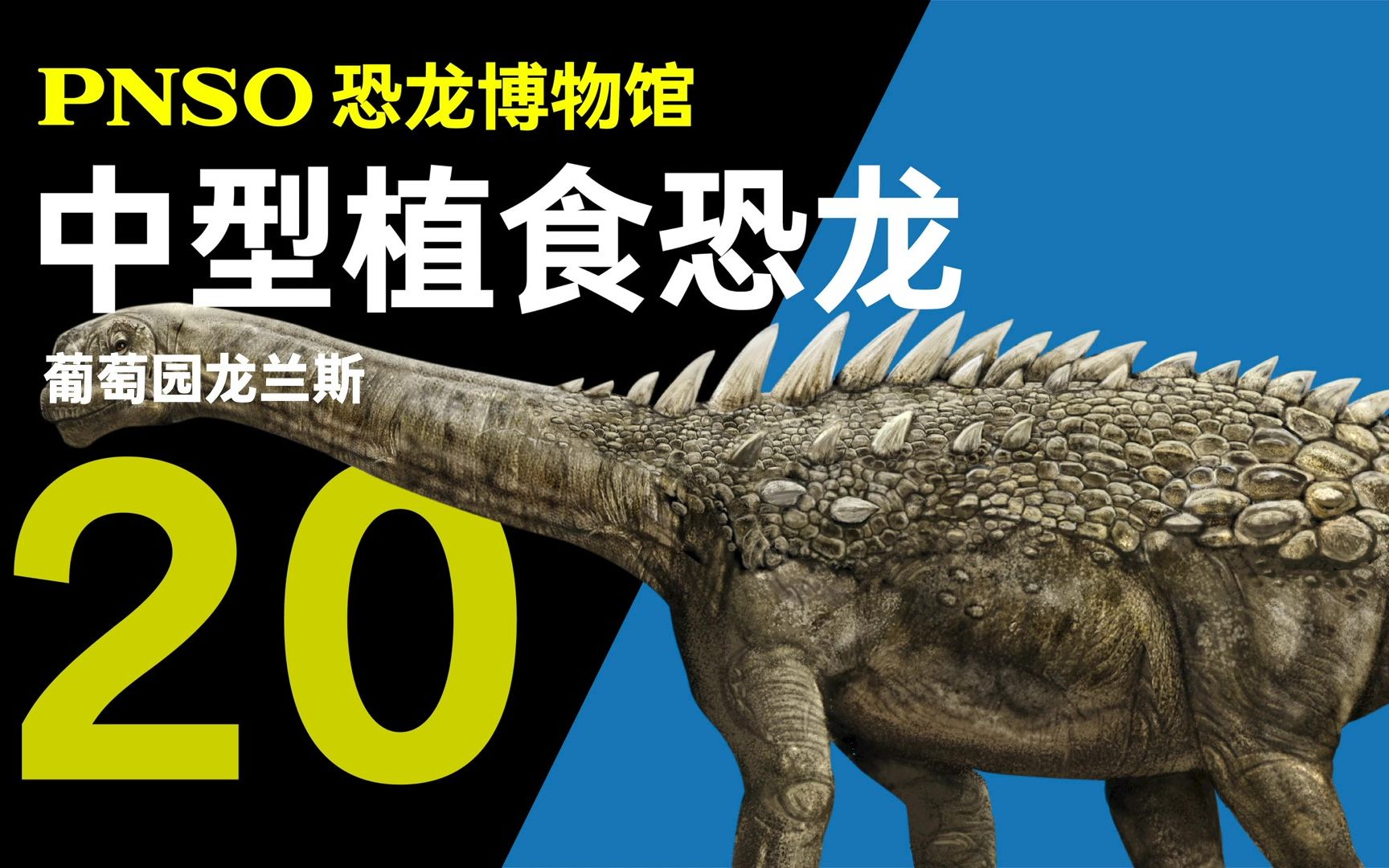 pnso恐龙博物馆背上长有装甲的葡萄园龙兰斯