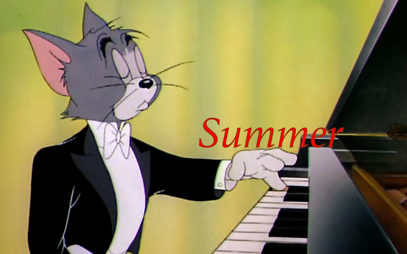 [图]【猫和老鼠/鬼畜】《Summer》菊次郎的夏天主题曲