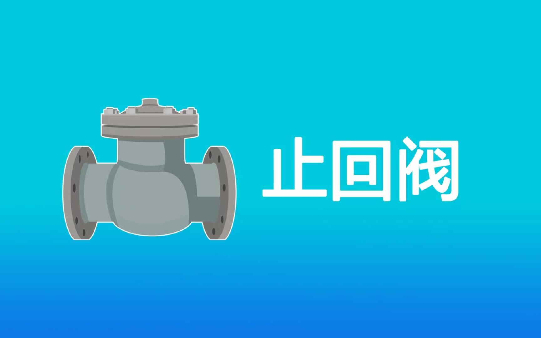 普通止回阀哔哩哔哩bilibili