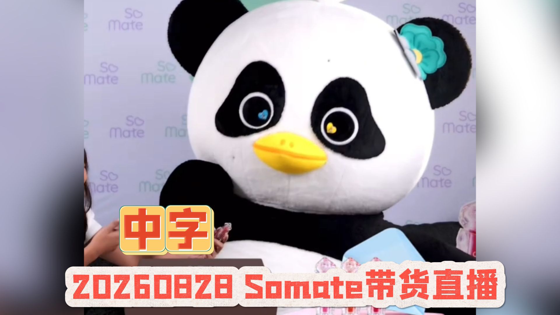 【中字Lunar】胖胖的第一次单人直播带货~毫不怯场 稳定发挥 20260828 Somate 直播全场