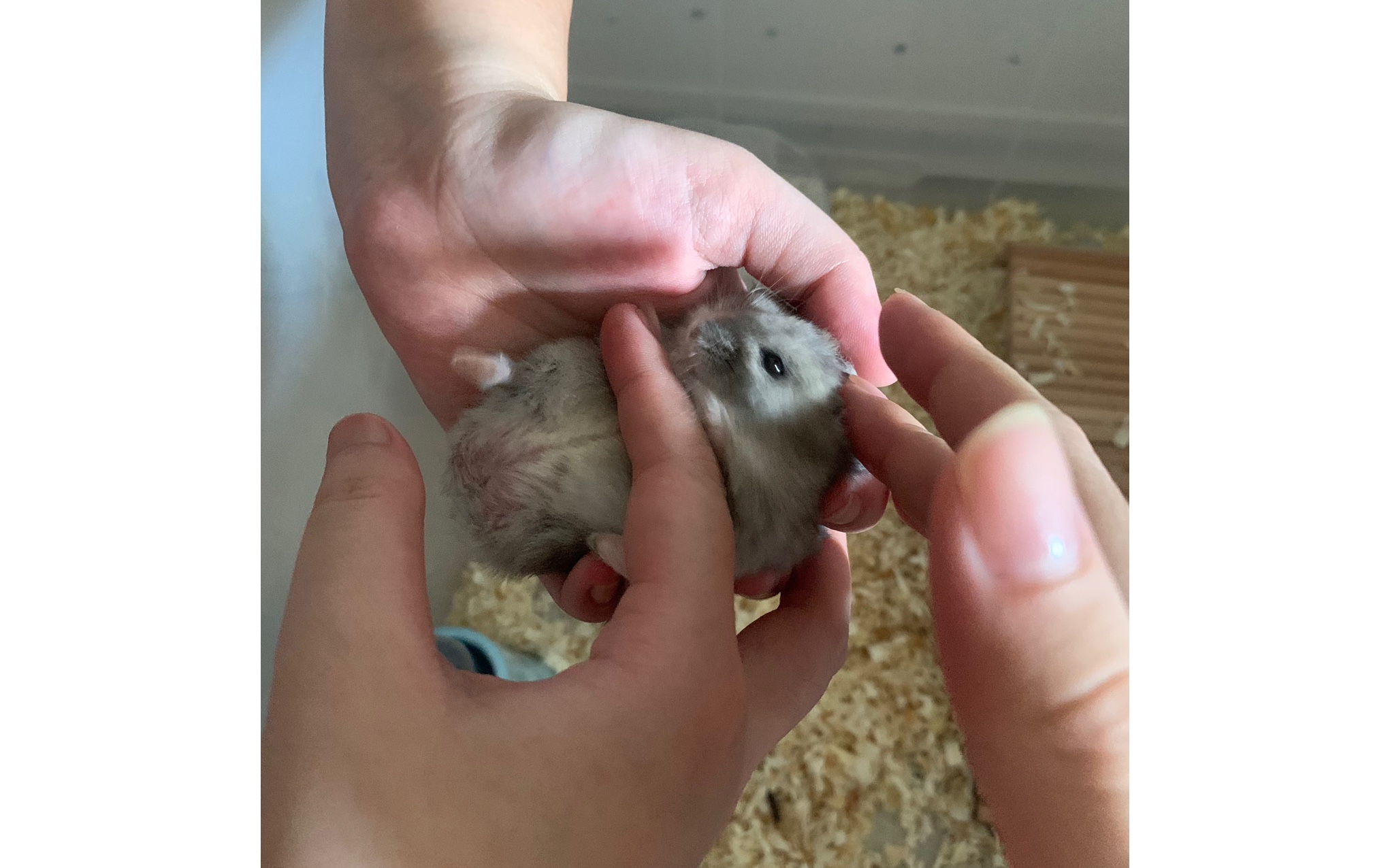 看看土地的鼠蛋啊啊啊啊啊