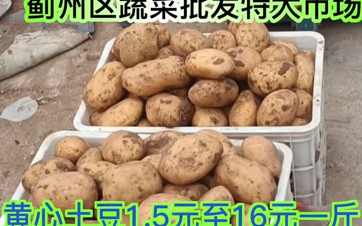 【菜市场】2022年10月28日天津蓟州区蔬菜批发市场价格哔哩哔哩bilibili