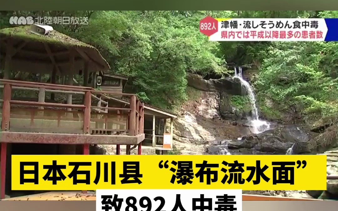 日本石川县“瀑布流水面”致892人中毒哔哩哔哩bilibili