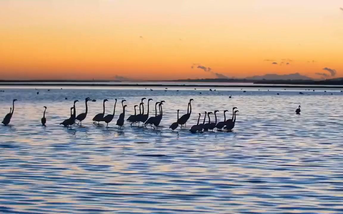 [图]萨克斯曲《永浴爱河》真好听！