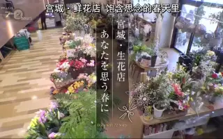 72小时 哔哩哔哩 Bilibili