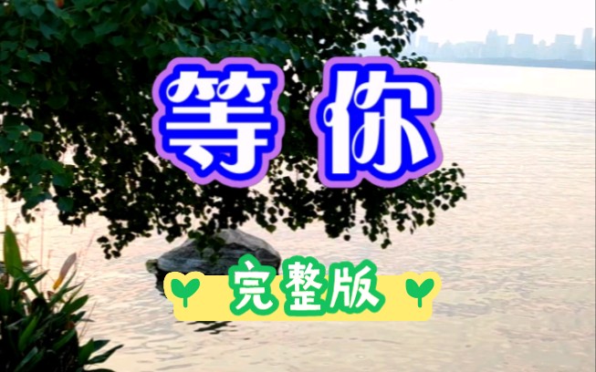 歌曲《等你》哔哩哔哩bilibili