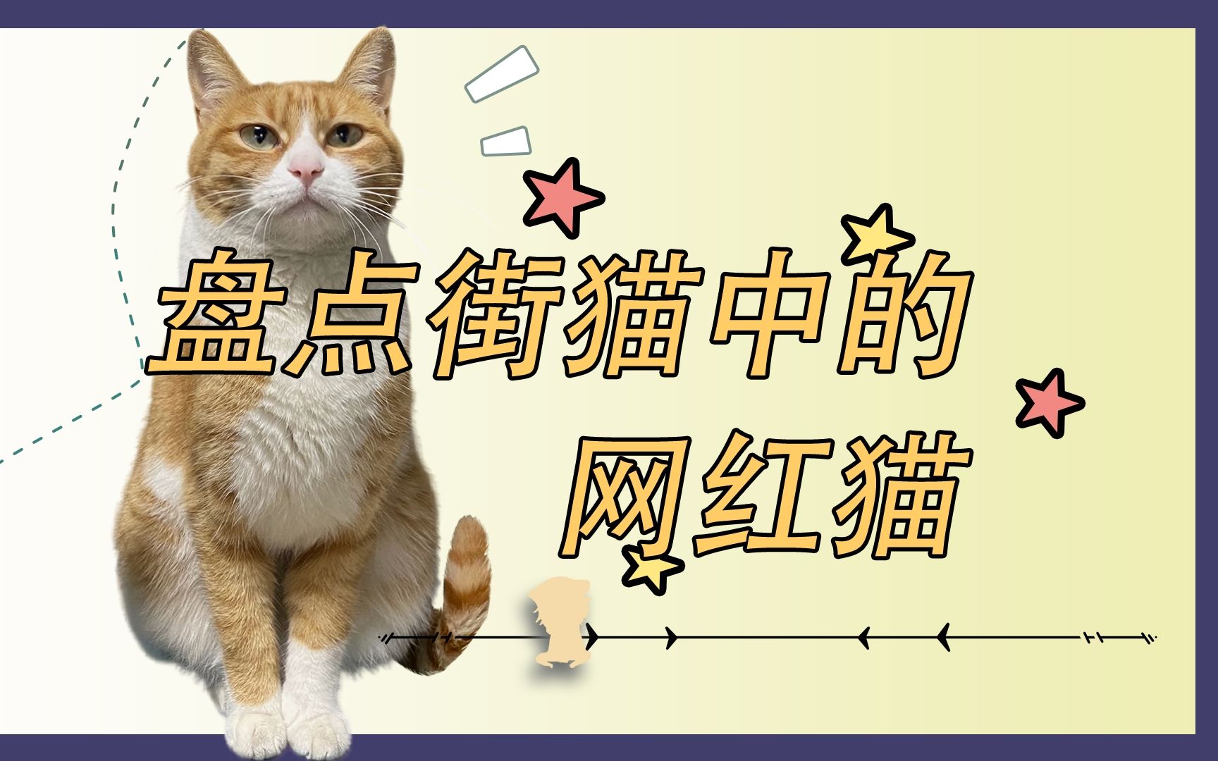 [图]今天盘点街猫中那些大名鼎鼎的网红流浪猫猫