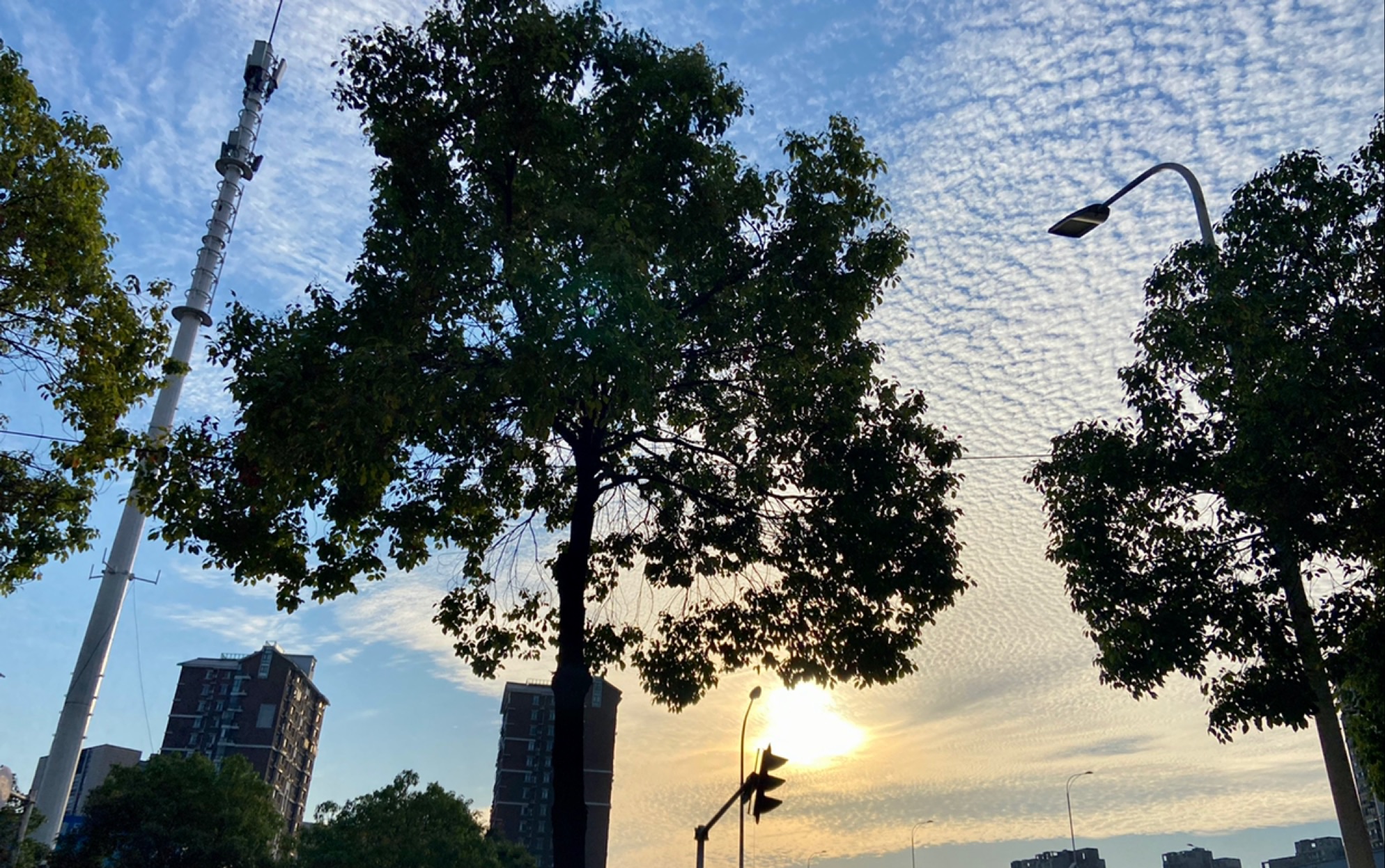 [图]夏日笔记本🥤