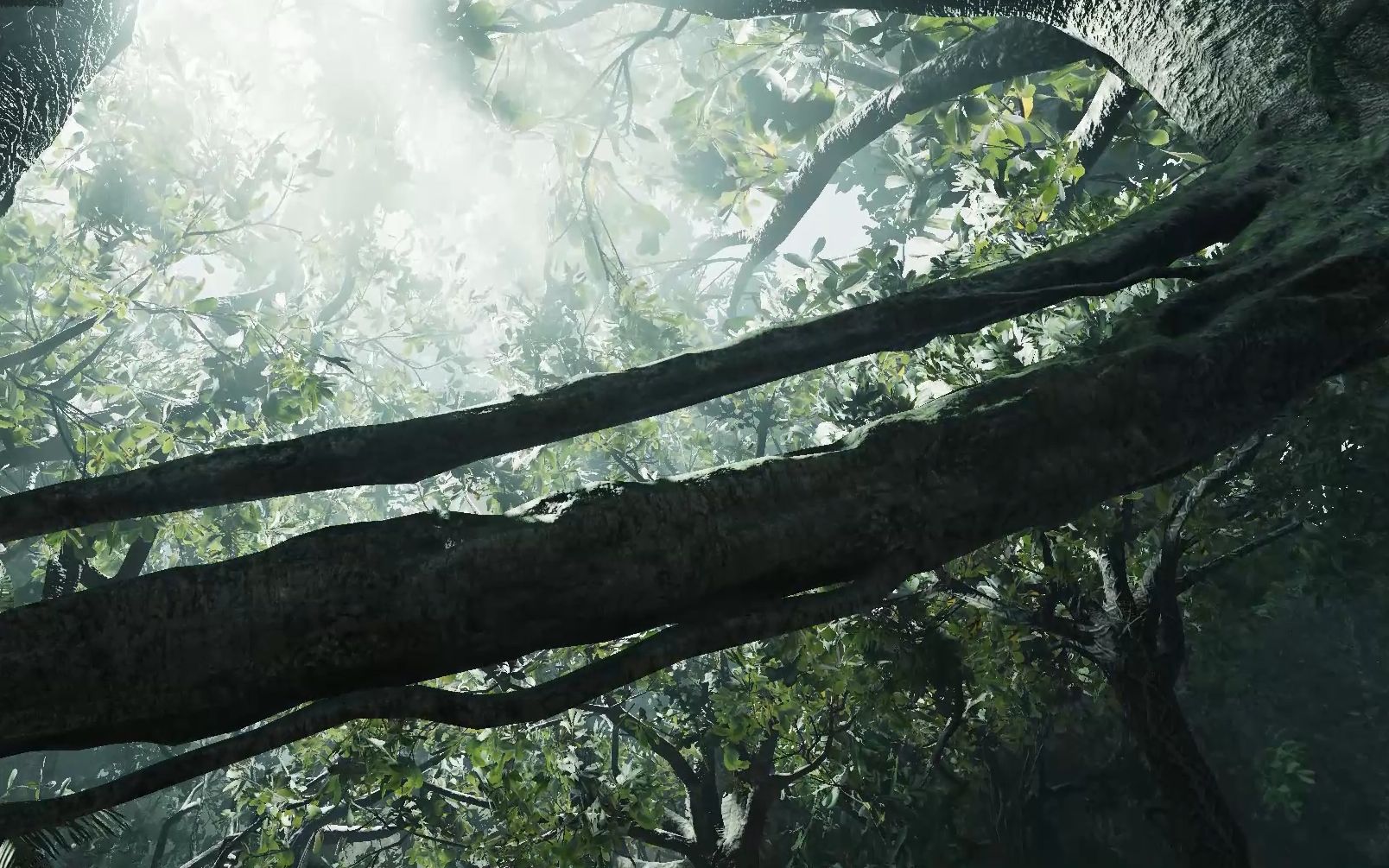 r7000古墓丽影暗影性能测试