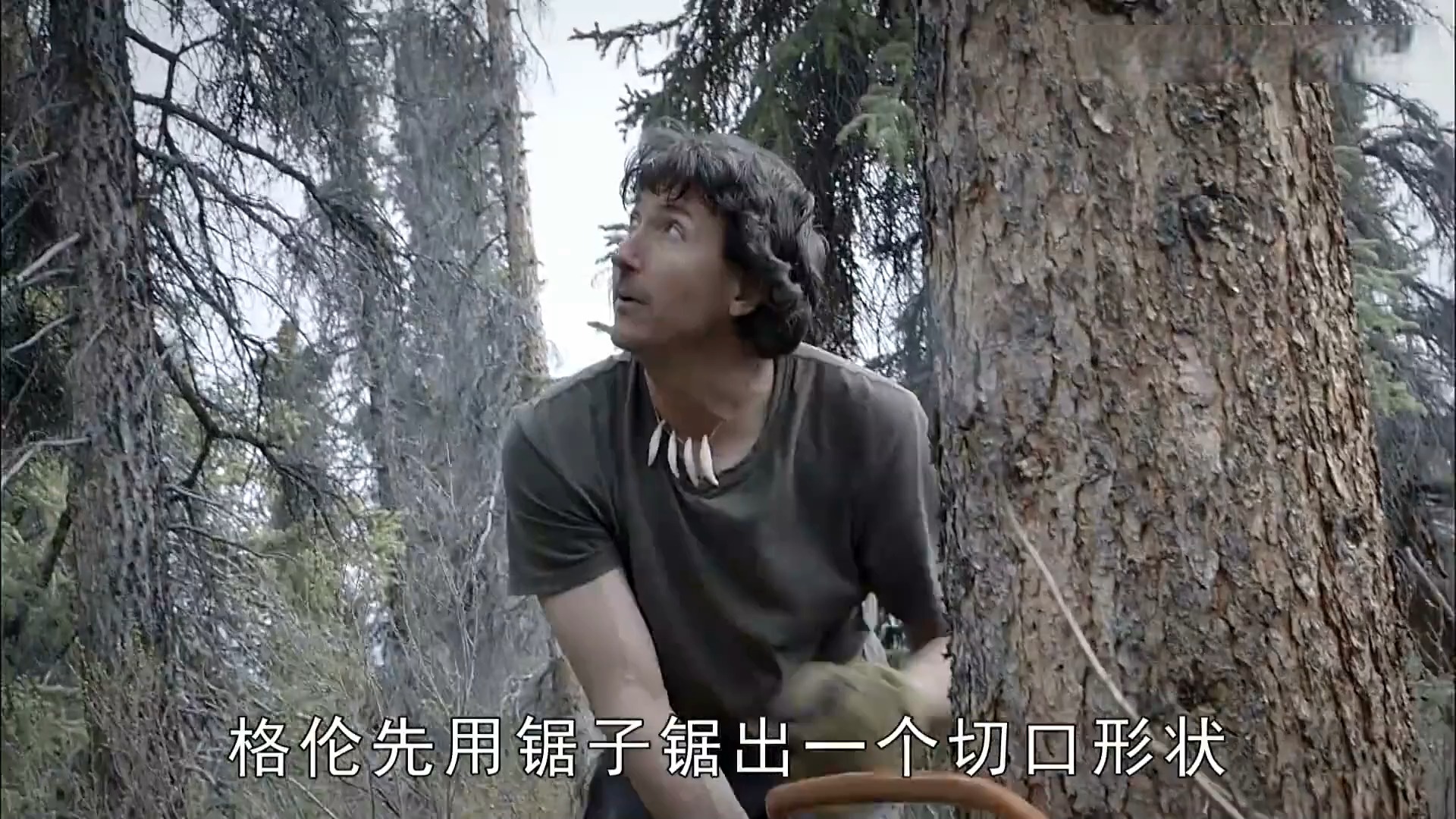 (19)零度以下的生活