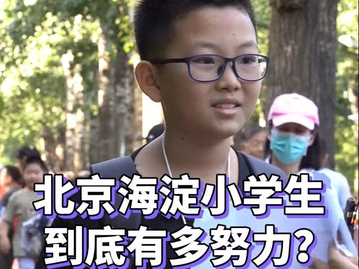 北京海淀区的小学生能有多努力?