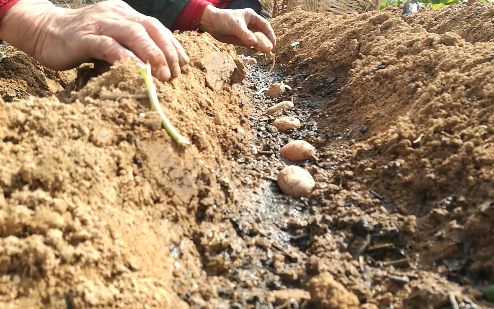 [图]传统农耕生活方式（四川巴中）