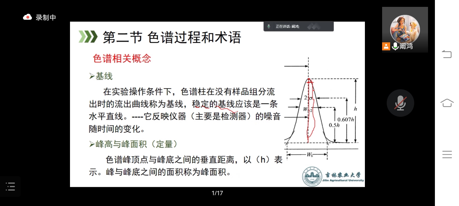 仪器分析 色谱概论哔哩哔哩bilibili